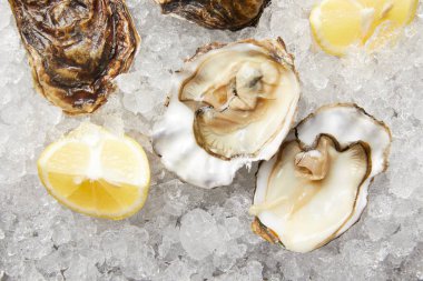 Fresh oysters and lemon slices on ice clipart