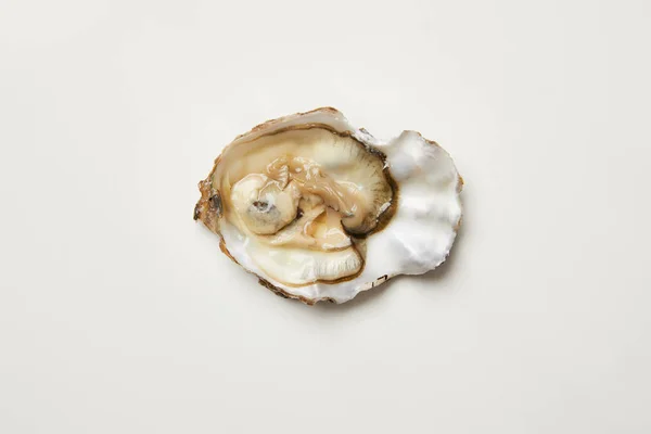 Open Fresh Oyster Clam Isolated White — Stock Photo, Image