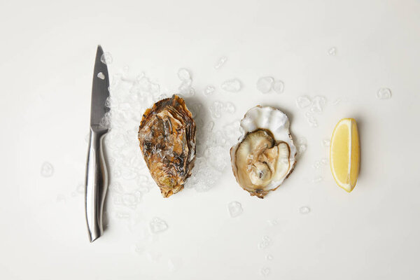 Oysters with lemon and knife on white table with ice