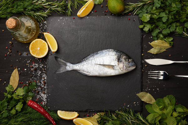 Raw fish on slate board with salt and herbs with lemon slices