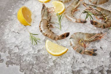 close-up shot of raw shrimps with rosemary and lemon slices on crushed ice clipart