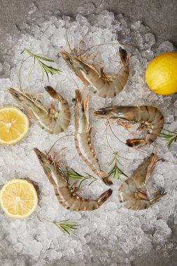 top view of raw shrimps with rosemary and lemon slices on crushed ice clipart