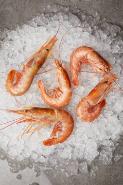 top view of cooked prawns on crushed ice clipart