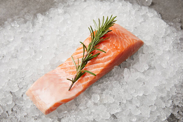 slice of red fish with rosemary branch on crushed ice