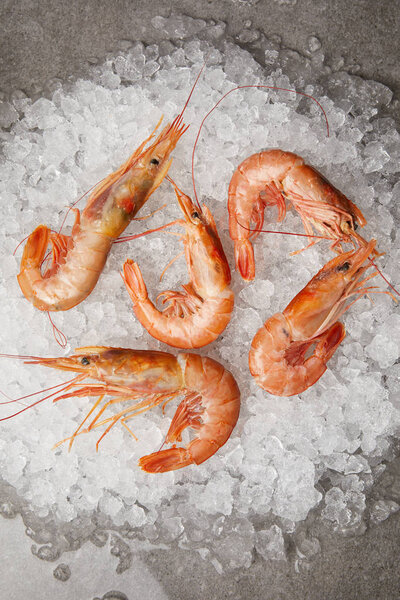 top view of cooked prawns on crushed ice