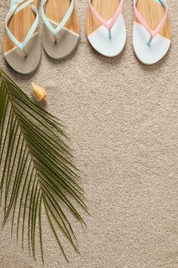 düz lay yaz flip flop, yeşil palmiye yaprağı ve kum üzerinde seashell ile