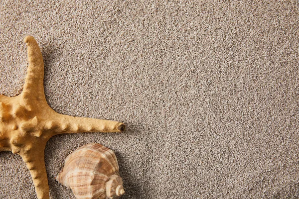 Ovanifrån Ordnade Sea Star Och Seashell Sand — Stockfoto