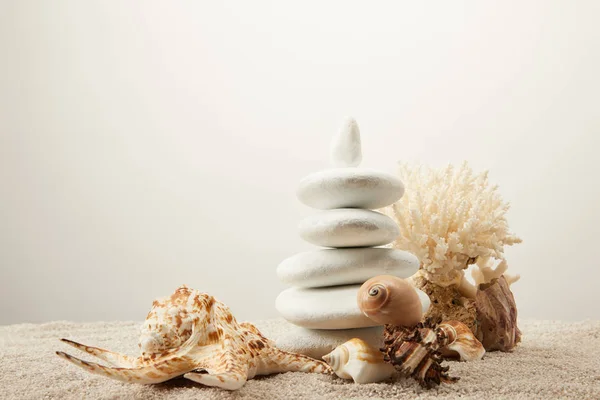 Крупним Планом Розставлені Білі Морські Камені Черепашки Піску Сірому Фоні — стокове фото
