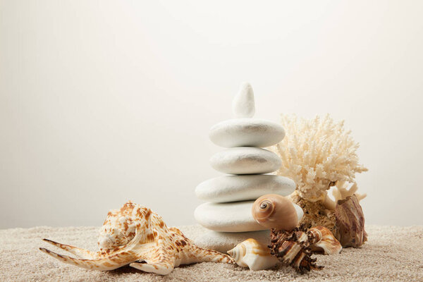close up view of arranged white sea stones and seashells on sand on grey background