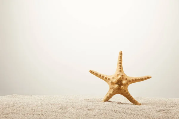 Nära Håll Syn Sea Star Sand Grå Bakgrund — Stockfoto