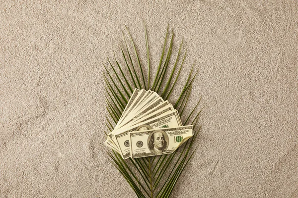 Top View Green Palm Leaf Dollar Banknotes Sand Vacation Concept — Stock Photo, Image