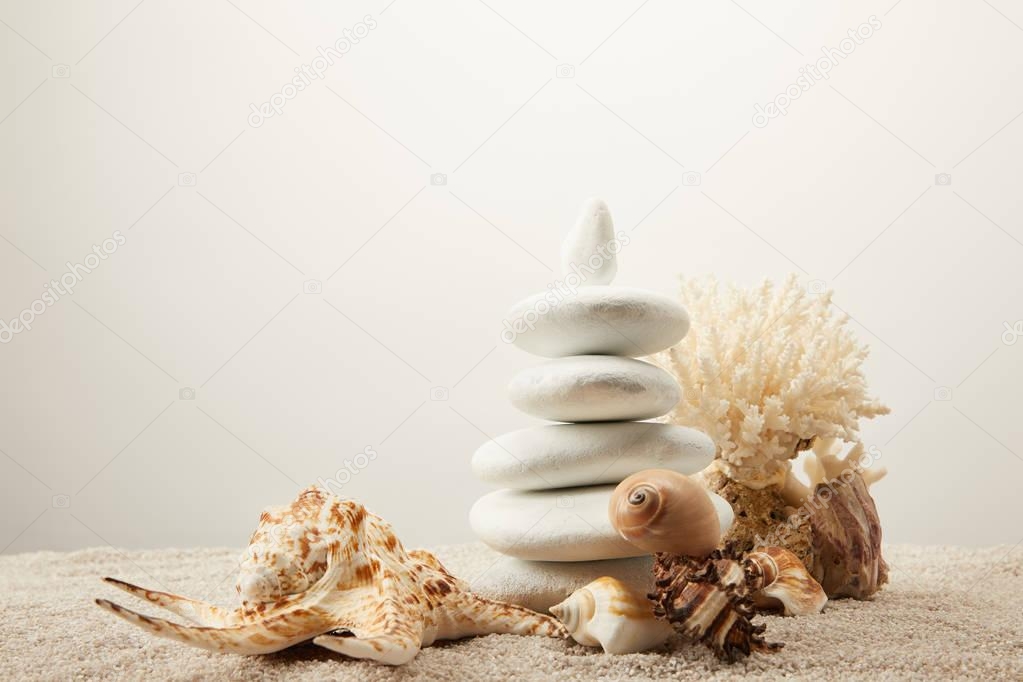 close up view of arranged white sea stones and seashells on sand on grey background