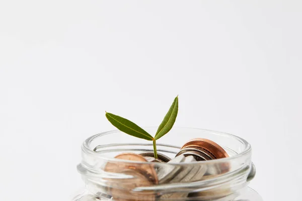 Närbild Olika Mynt Mason Jar Med Växande Sprout Isolerad Vit — Stockfoto