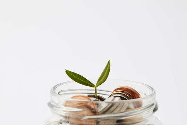 close-up shot of various coins in mason jar with growing sprout isolated on white