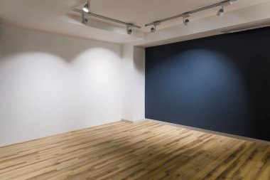 Empty room with dark and white walls and wooden floor