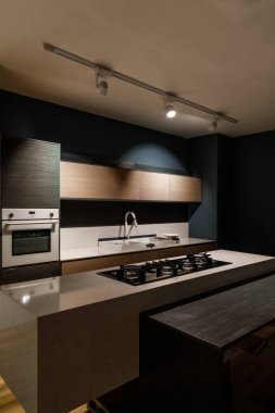 Interior of modern kitchen with stove on counter