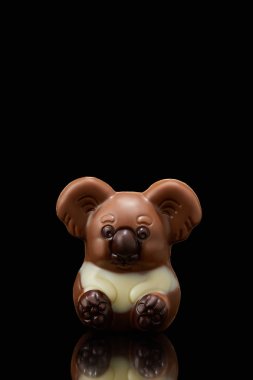 closeup shot of koala shaped chocolate on black background  clipart