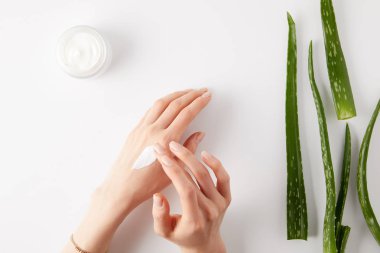 eller, aloe vera yaprakları ve beyaz yüzey kapsayıcı Krem krem uygulayarak kadının kırpılmış görüntü