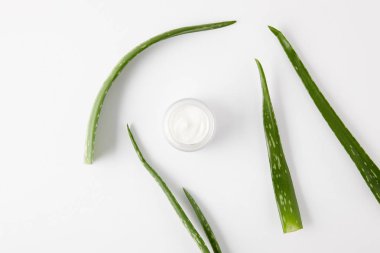 Üstten Görünüm aloe vera tarafından çevrili kap içinde organik krem beyaz yüzey üzerinde bırakır