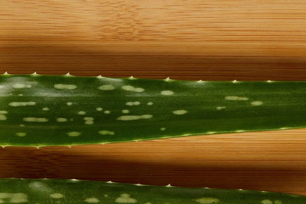 Podniesionymi Widokiem Aloe Vera Pozostawia Drewnianym Blatem — Darmowe zdjęcie stockowe