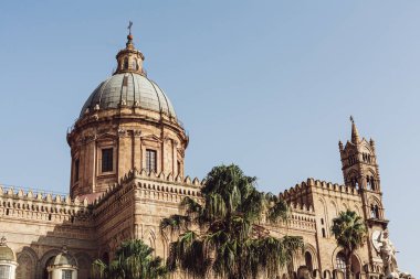 Palermo, İtalya - 3 Ekim 2019: Palermo Katedrali yakınlarındaki villa bonanno 'da yeşil palmiye ağaçları