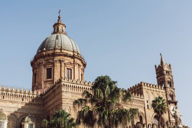 PALERMO, ITALY - OCTOBER 3, 2019: green palm trees in park villa bonanno near cathedral of palermo clipart