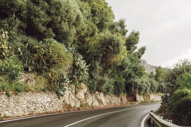 Savoca, İtalya 'da yol kenarındaki yeşil ağaçlar. 