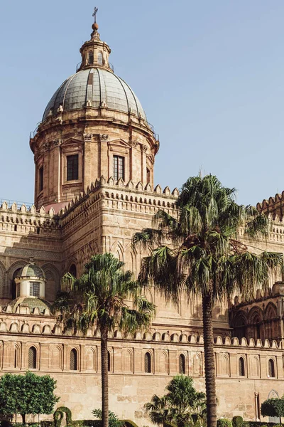 Palermo Italy October 2019 Palm Trees Park Villa Bonanno — Stock Photo, Image