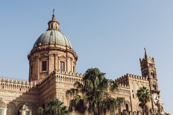 PALERMO, ITALY - OCTOBER 3, 2019: green palm trees in park villa bonanno near cathedral of palermo