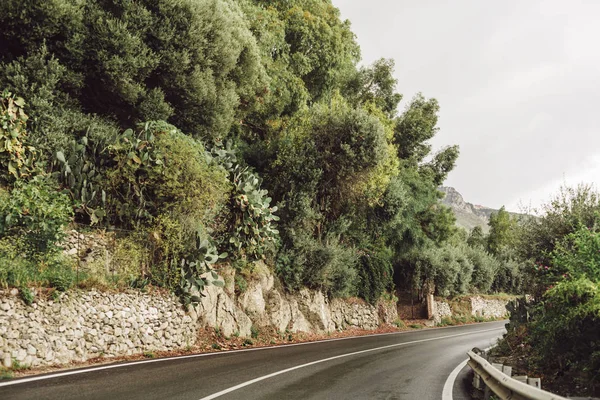 Árboles Verdes Cerca Carretera Savoca Italia — Foto de Stock