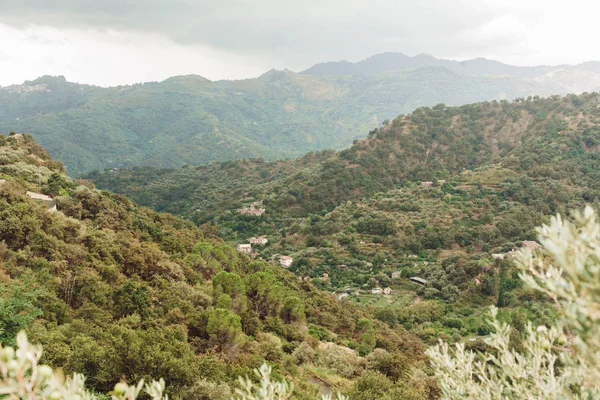 selective focus of trees in mountains against sky with clouds 