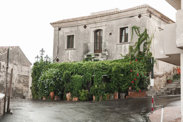 Foco Selectivo Vieja Casa Cerca Plantas Verdes Savoca — Foto de Stock