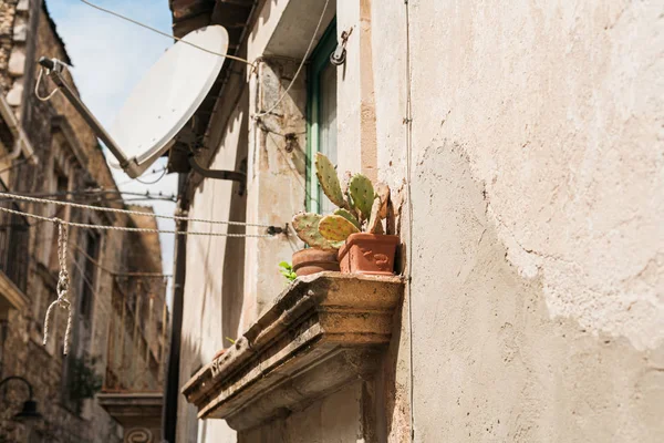 Selective Focus Green Cactus Flowerpot Windowsill Houses Italy — Stock Photo, Image