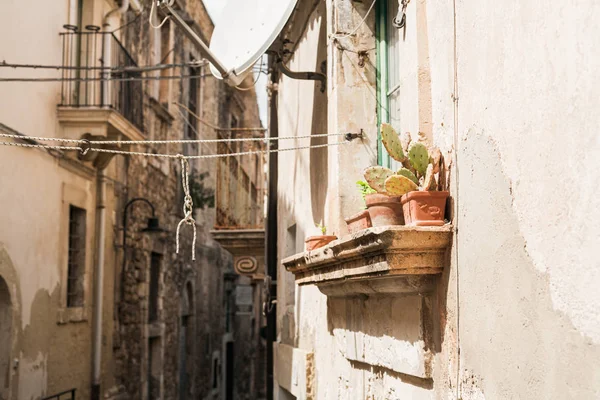 Selective Focus Green Cactus Flowerpots Windowsill Houses Italy — Stock Photo, Image