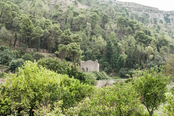 Árboles Verdes Cerca Casa Antigua Modica Italia — Foto de Stock