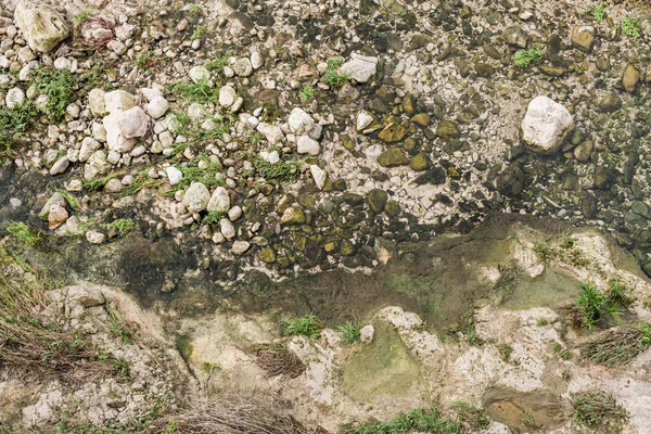 Yeşil Yosun Bitkilerin Yakınındaki Taşların Üst Görüntüsü — Stok fotoğraf