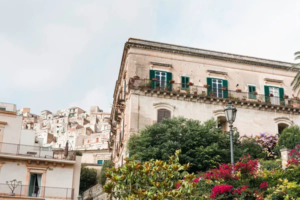 Low Angle View Green Trees Plants Old Buildings Modica Italy — Stock Photo, Image