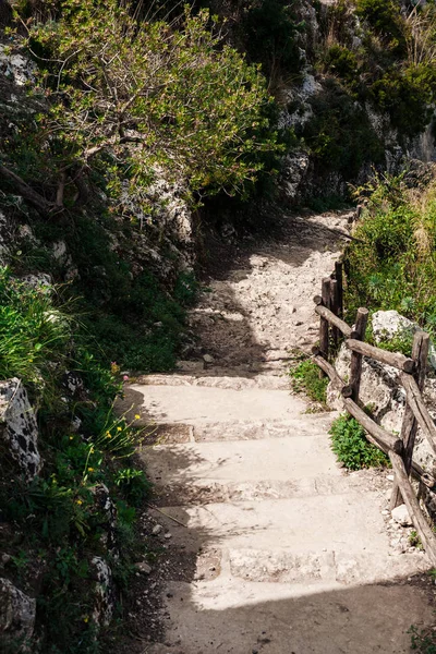 Sol Las Escaleras Cerca Plantas Verdes Árboles Ragusa Italia — Foto de Stock