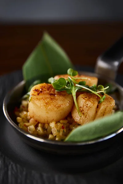 Close View Delicious Grilled Scallops Green Leaves Microgreens — Stock Photo, Image