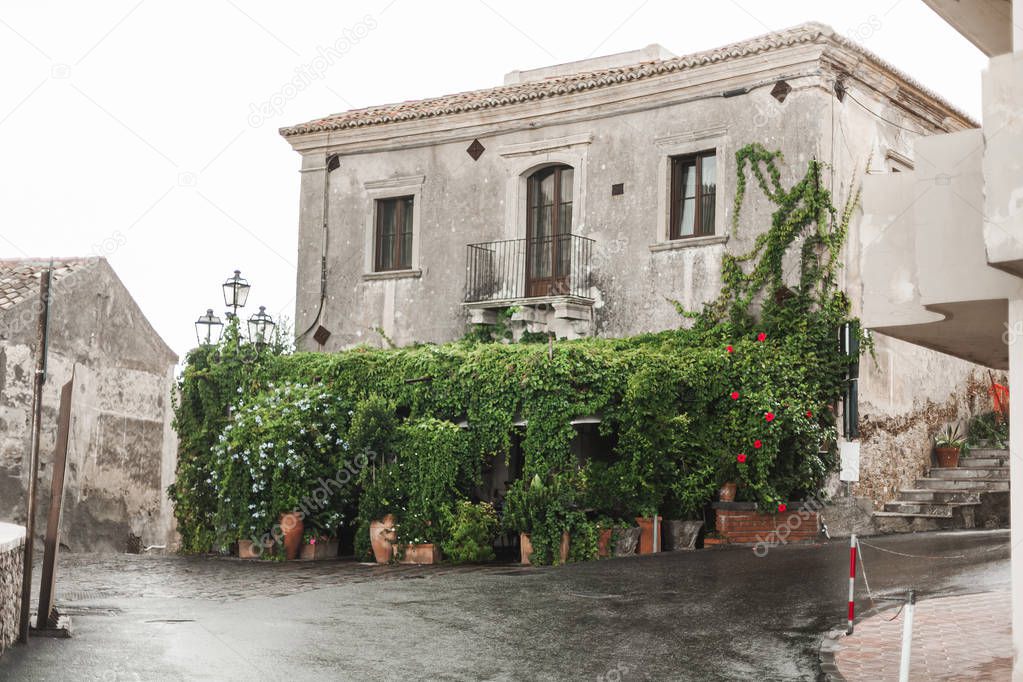 selective focus of old house near green plants in savoca 
