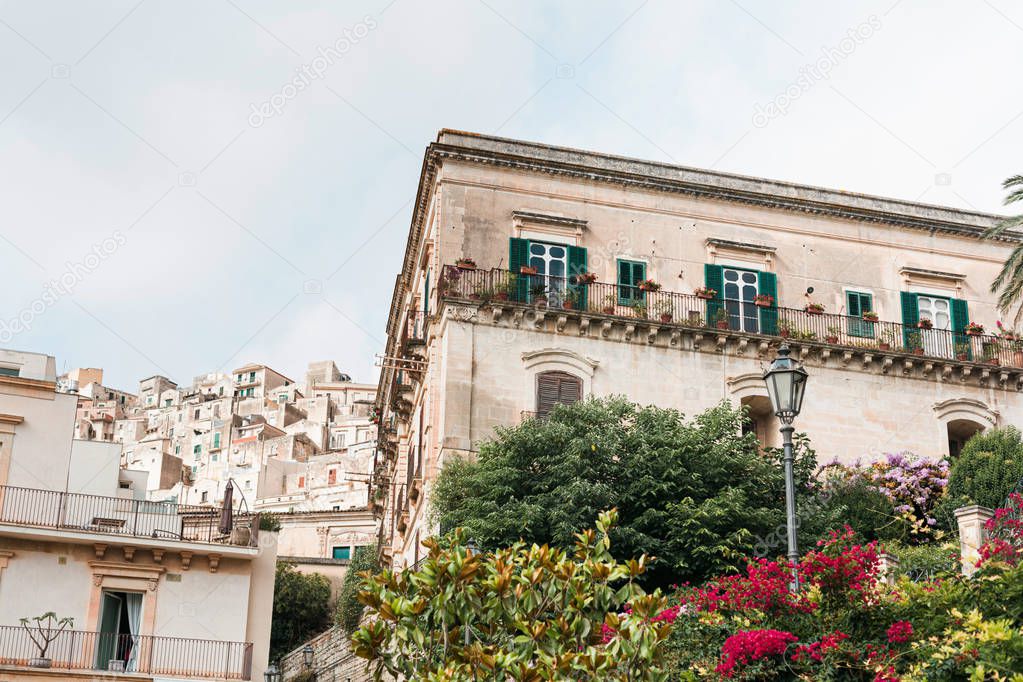 low angle view of green trees and plants near old buildings in modica, Italy 