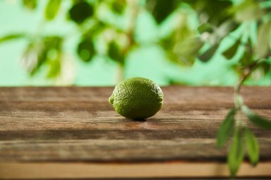 Tahta yüzeyde taze ve tam limon seçici odak 
