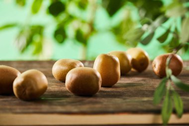 Olgunlaşmışın seçici odağı ve tüm kivi ahşap yüzeyde 