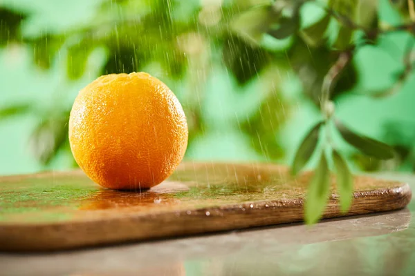 Selective Focus Whole Orange Drops Wooden Cutting Board — Stock Photo, Image