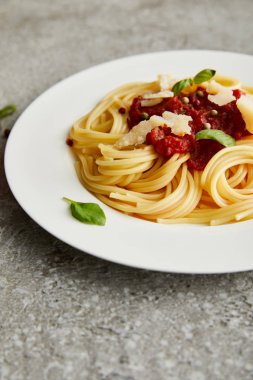 Domates soslu leziz bolonez makarna ve gri arka planda beyaz tabakta parmesan.