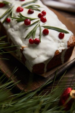 Geleneksel Noel pastasının seçici odağı, çam ağacının yanında kızılcık.