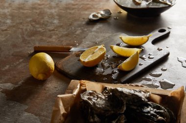 selective focus of oysters in shell near melting ice on cutting board  clipart