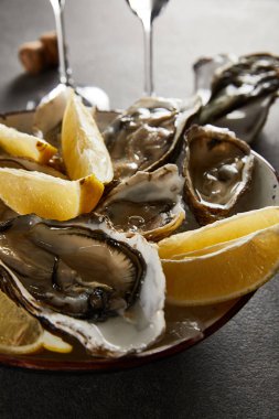 Lezzetli istiridye ve gri yüzeyde buzlu limonlar. 