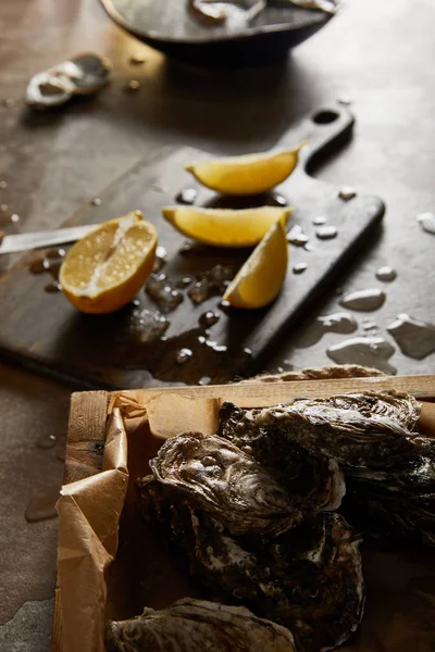 Selective Focus Tasty Oysters Shell Cutting Board Melting Ice — Stock Photo, Image