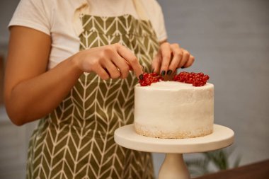 Cropped view of confectioner decorating cake with bunches of redcurrant clipart